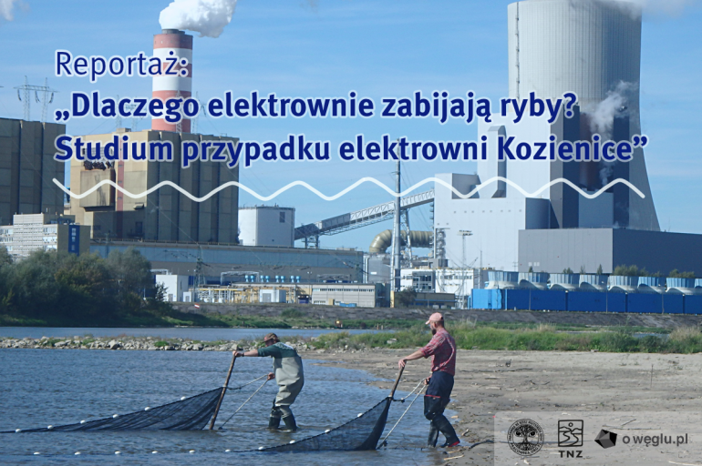 Dlaczego elektrownie zabijają ryby? Reportaż filmowy portalu oweglu.pl o elektrowni Kozienice