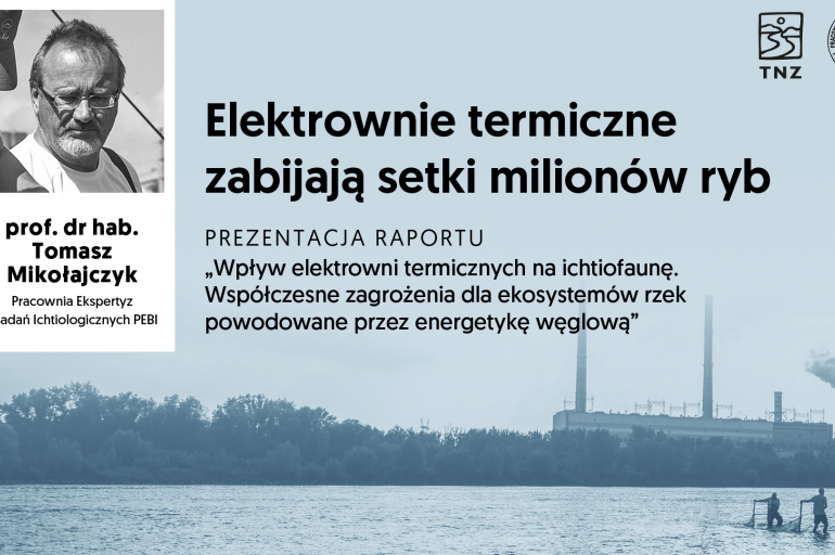 Hekatomba w polskich rzekach: elektrownie zabijają setki milionów ryb.